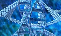 刷新两项世界纪录 基因测序黑马人和未来干了什么事？
