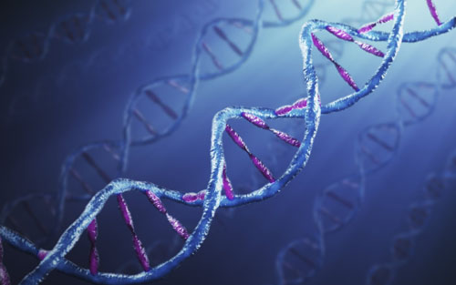 基因测序“摩尔定律”初现，“三代测序”要革“二代”的命？