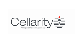 B轮融资1.23亿美元，Cellarity瞄准“细胞行为”开创药物发现新方法【Flagship系列案例】