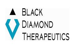 Black Diamond Therapeutics完成8500万美元C轮融资，用于推进其先导候选药物的开发