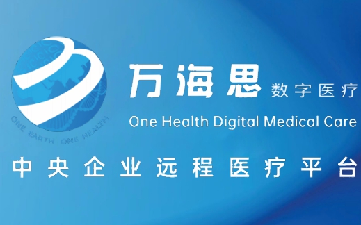 聚焦跨境医疗，万海思为中国企业出海提供医疗健康整体解决方案