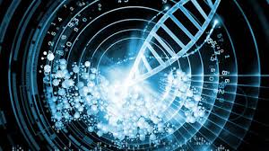 刷新两项世界纪录的「人和未来」，是如何利用数据解读升级精准医疗的？｜基因&数据