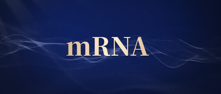 mRNA 