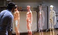 微软HoloLens这个医疗应用太赞了！《钢铁侠》的酷炫全息影像被搬进了手术室