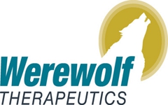 Werewolf Therapeutics完成5600万美元A轮融资，用于开发免疫刺激性癌症药物