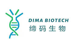 缔码生物：创新DimAb平台制备兔源抗体，旨在五年建全肿瘤靶点先导抗体分子库
