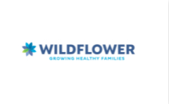 母婴信息化平台Wildflower收购Circle，将加速产品开发进度、扩大社区覆盖度
