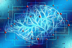 脑科学这个商业前景被严重低估的领域，AI如何助力其产业化